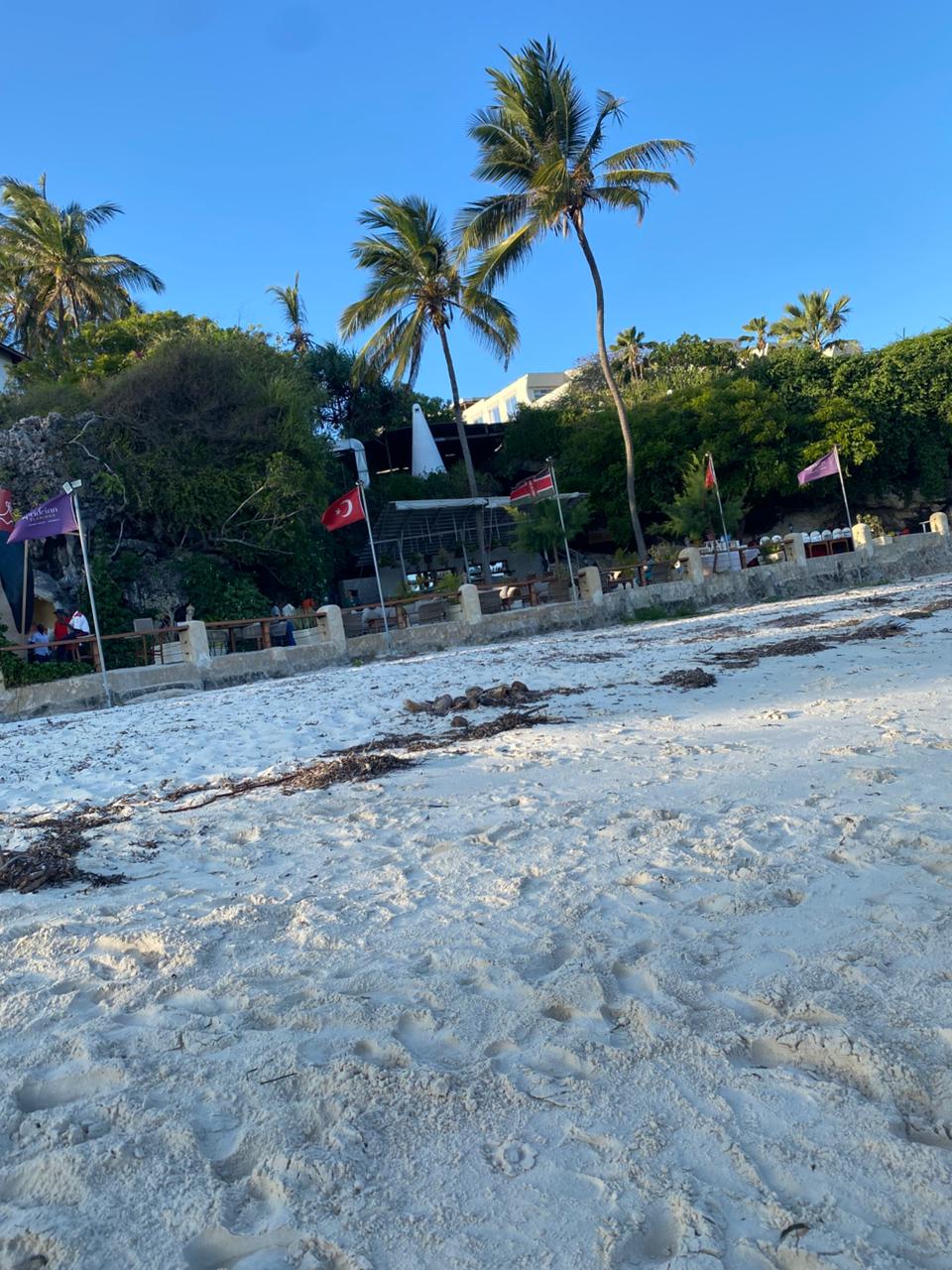 Kenya travel landscape